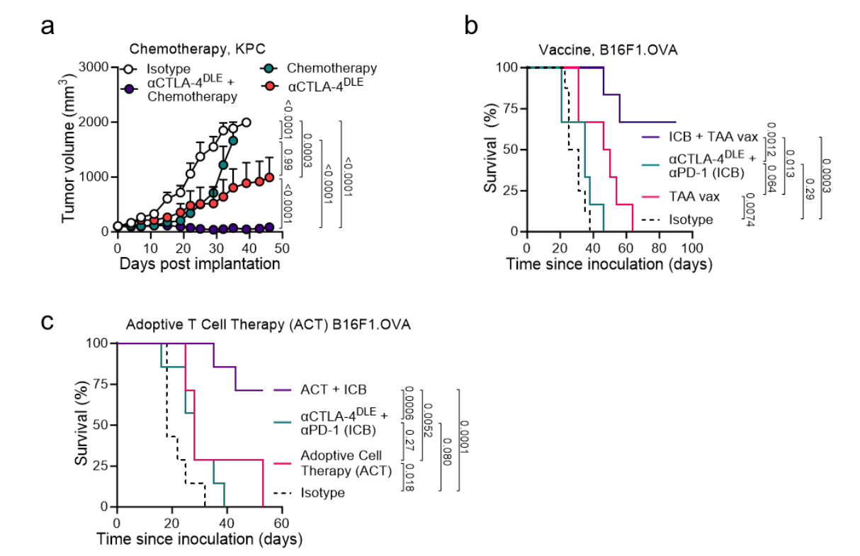 Fc enhanced anti CTLA-4 antibody Botensilimab treats tumors that respond poorly to conventional immunotherapy